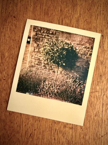 Polaroid 600 Spirit Land Camera - Image 2