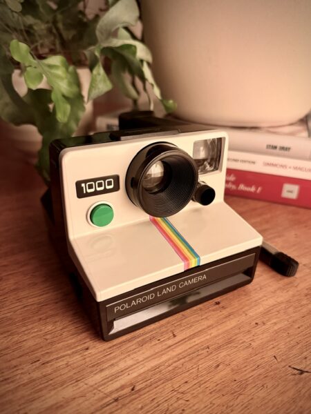 Polaroid 1000 Land Camera + ND Filters